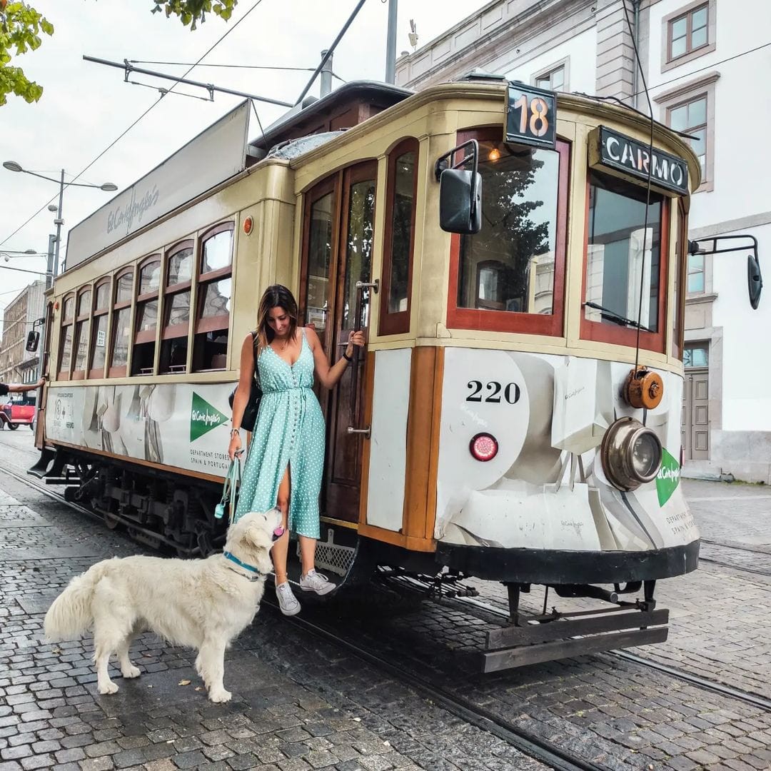 2677-tranvia-oporto-portugal-viajar-perros