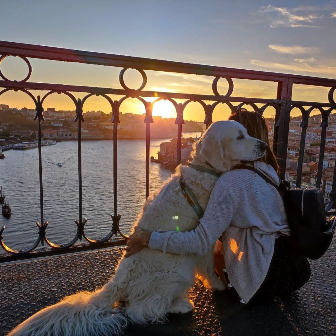 2684-oporto-con-perro-que-visitar