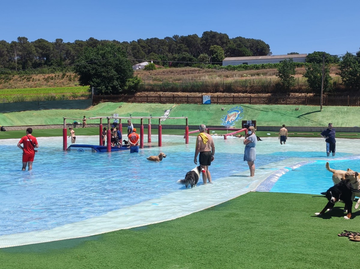 2737-can-jane-parque-piscinas-perros-barcelona