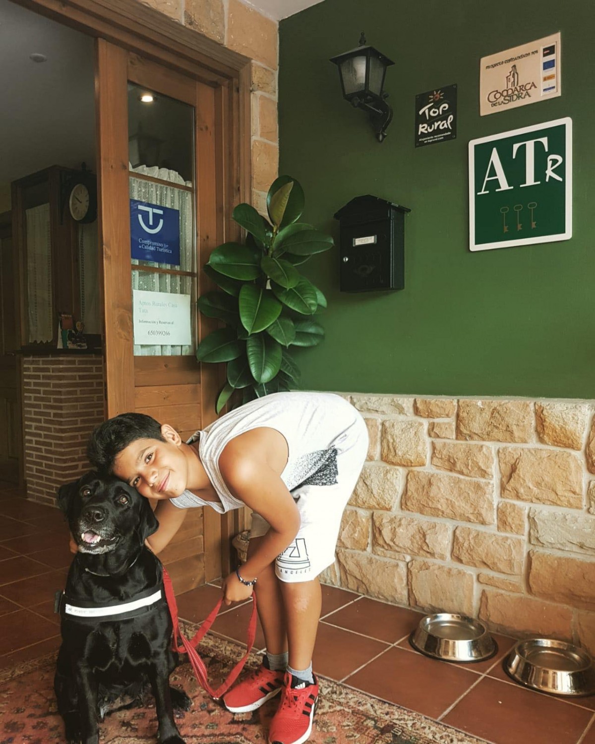 2805-casa-tata-perros-asturias