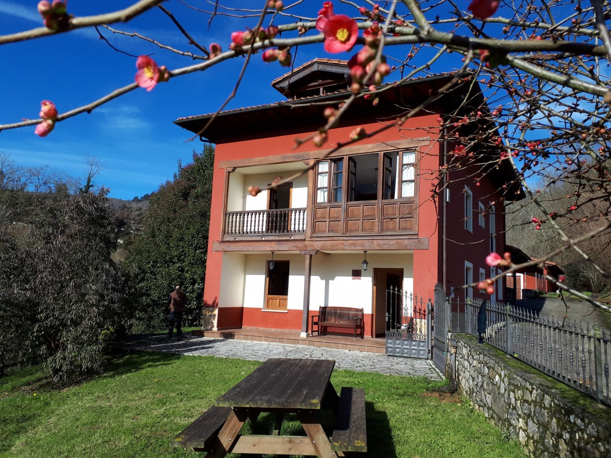 2815-el-raposu-del-sueve-asturias-viajar-con-perro