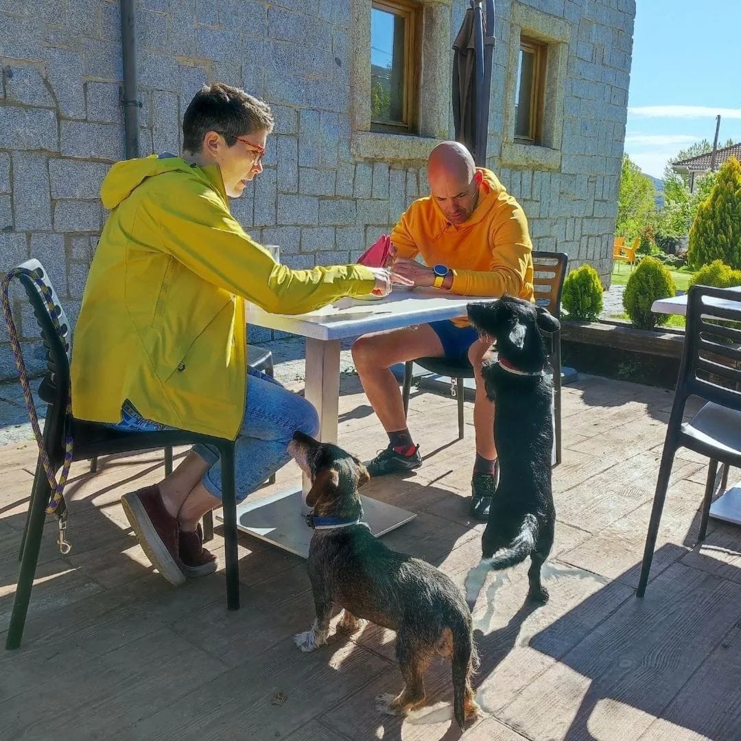 2946-perro-hotel-ciclolodge