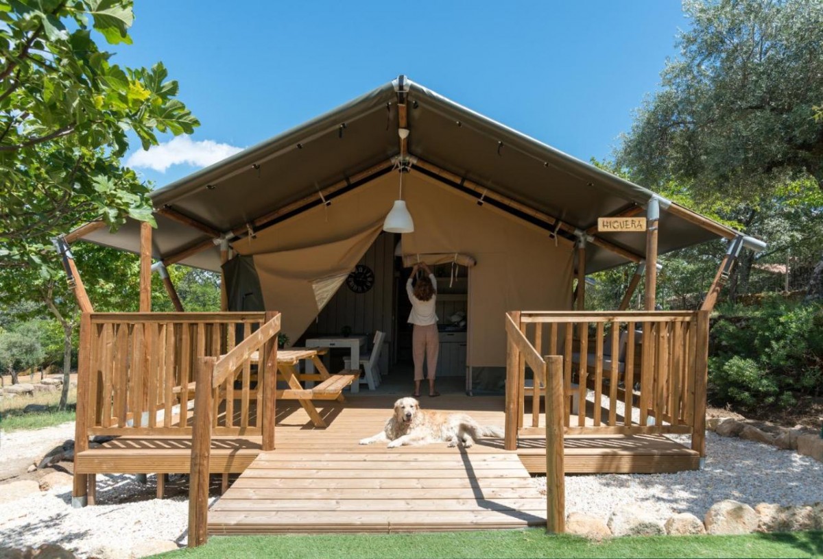 2977-veragua-ocio-caceres-perros-glamping