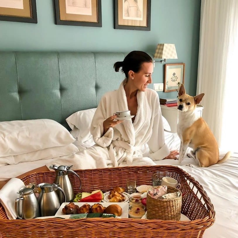 2988-hotel-pinar-cuenca-lujo-perro