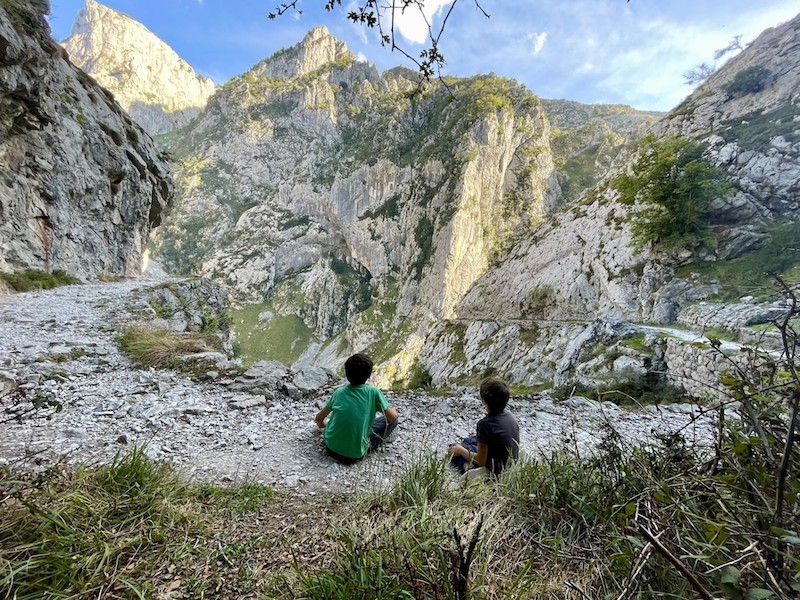 3002-ruta-cares-leon-perro