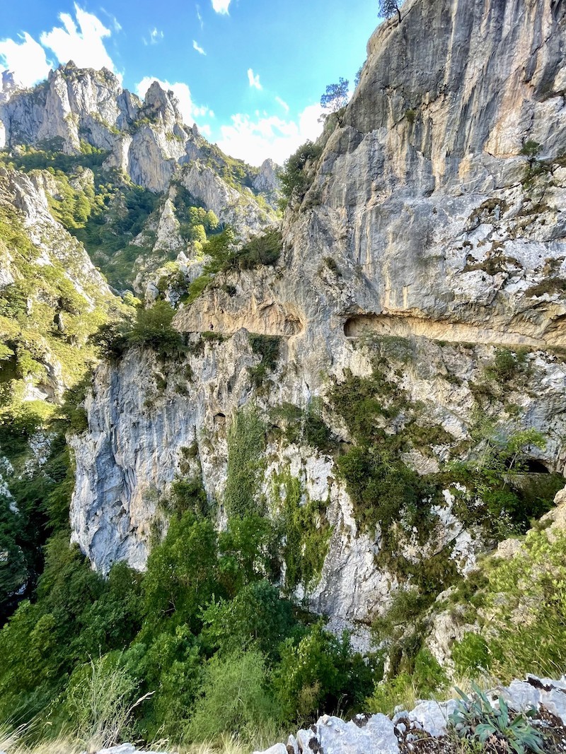 3005-camping-cares-picos-europa-perro