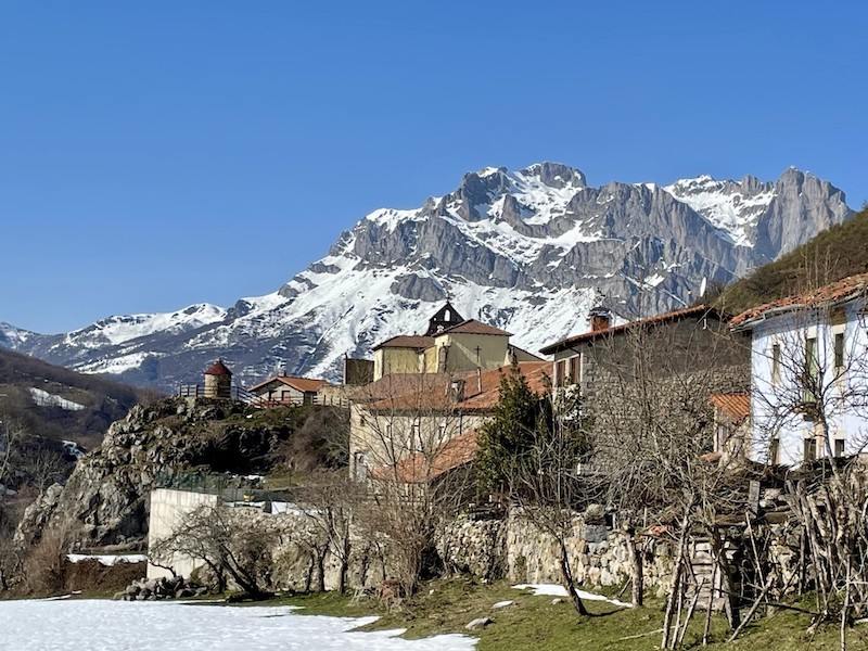 3007-camping-cares-picos-europa-perro