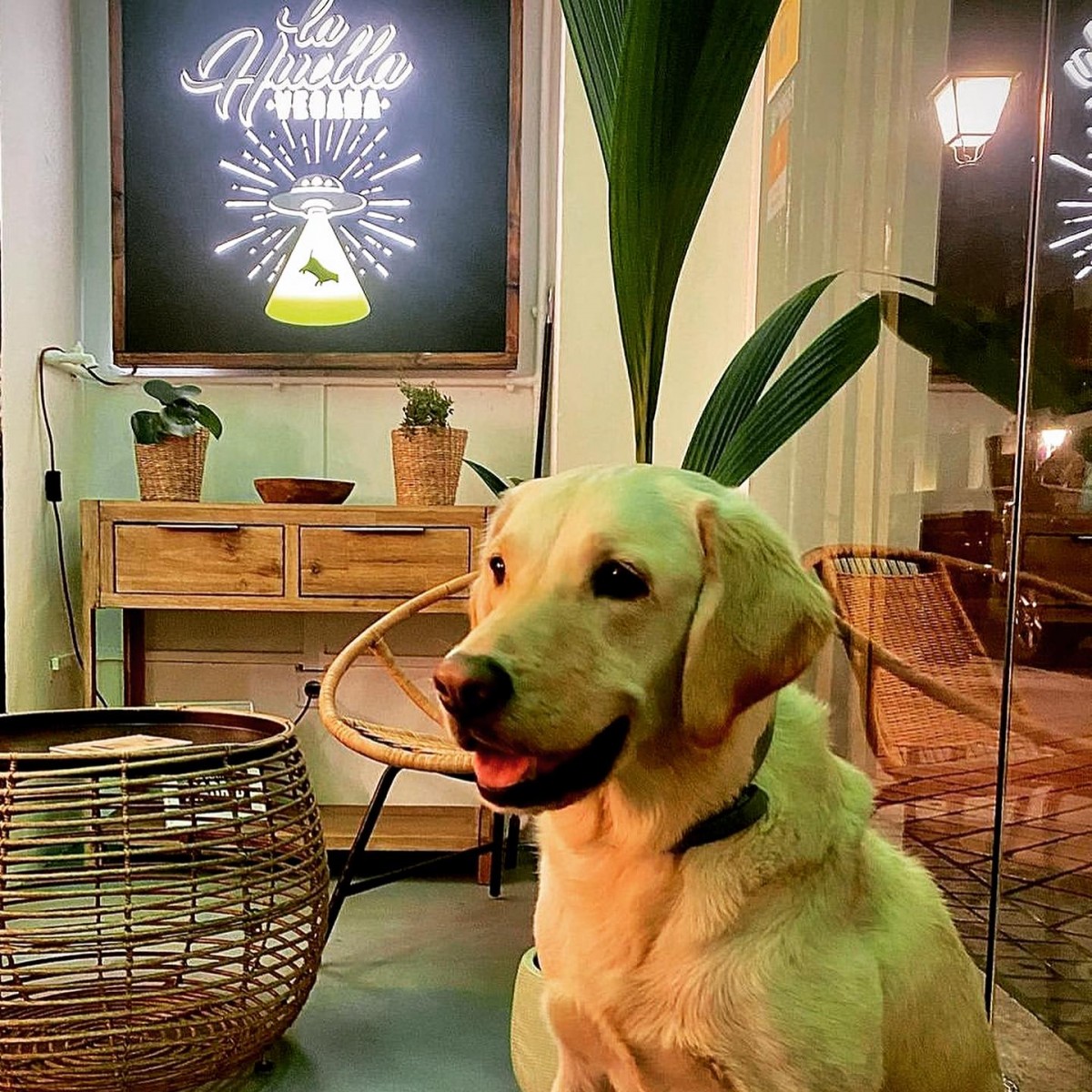 3346-la-huella-vegana