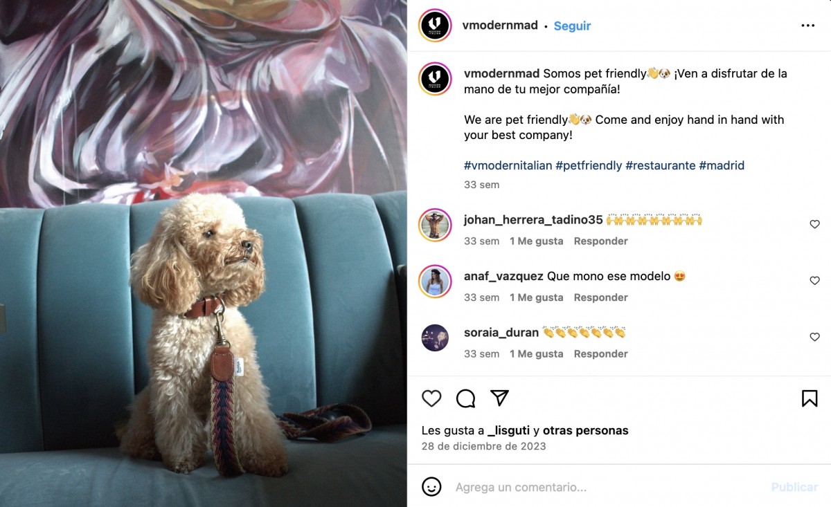 3350-pizzeria-dog-friendly-madrid