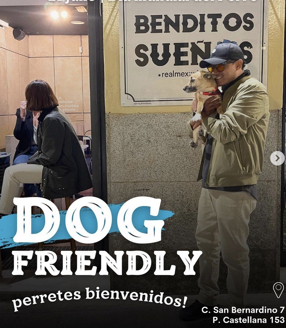 3367-benditos-suenos-restaurante-dog-friendly-madrid