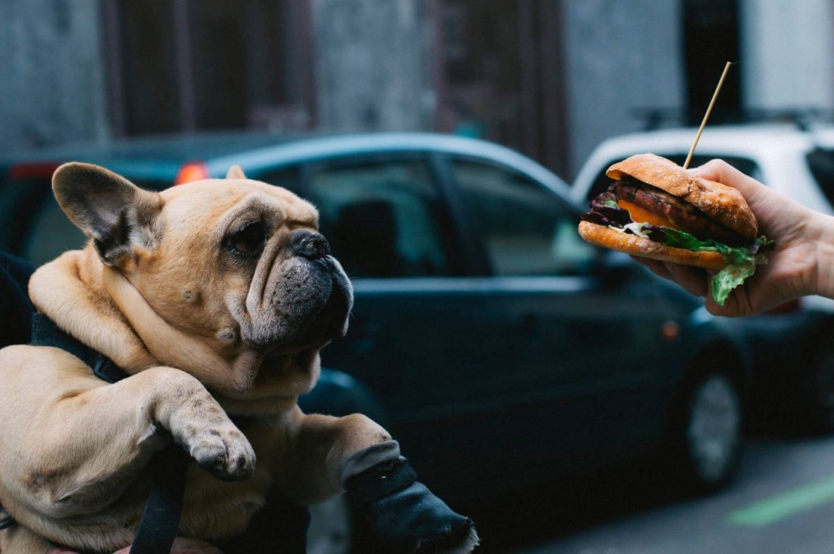 3369-oveja-negra-vegana-madrid