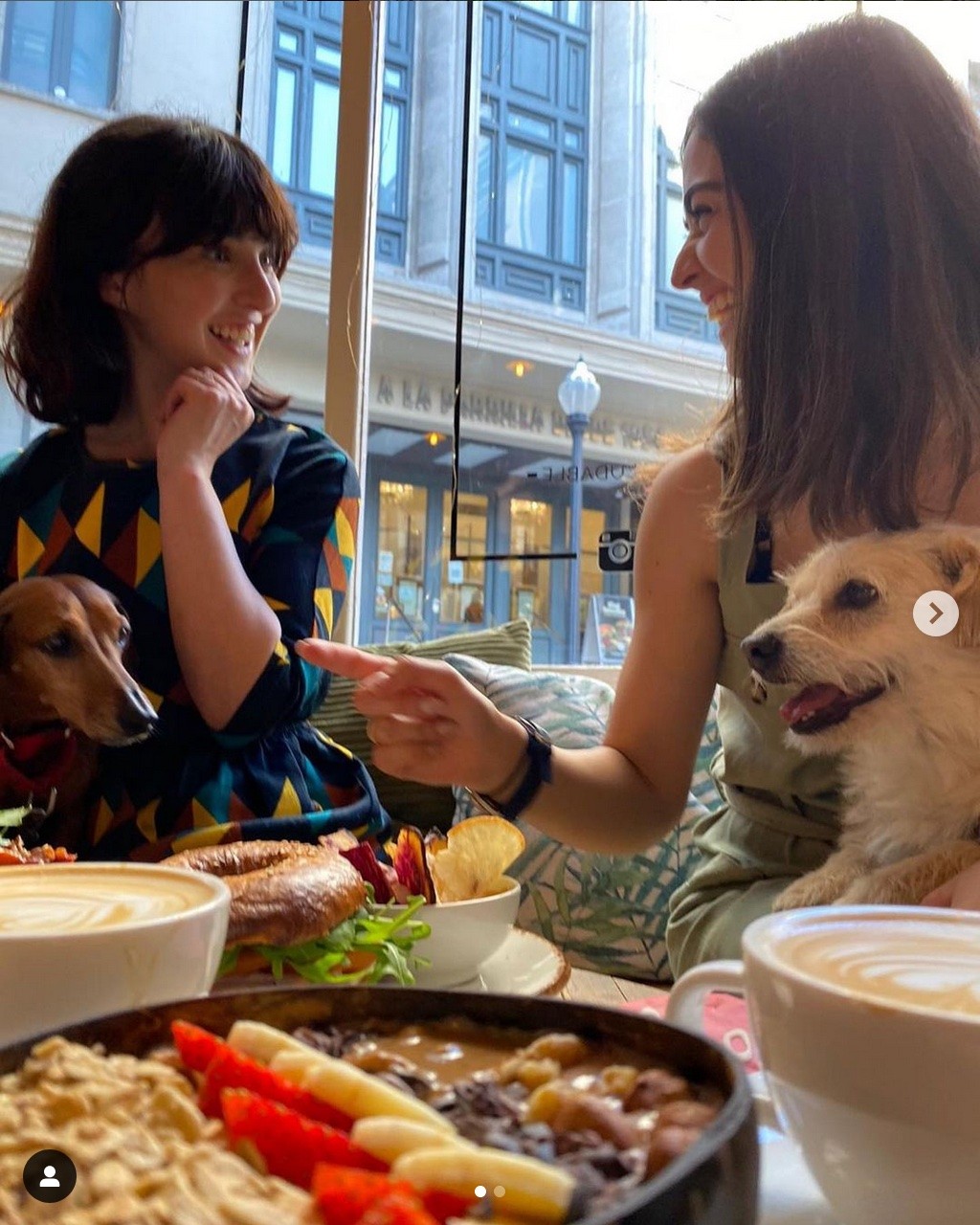 3520-restaurante-dog-friendly