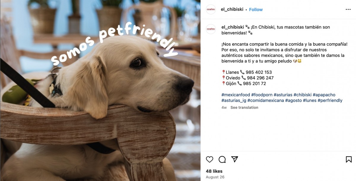 3525-restaurante-dog-friendly-asturias