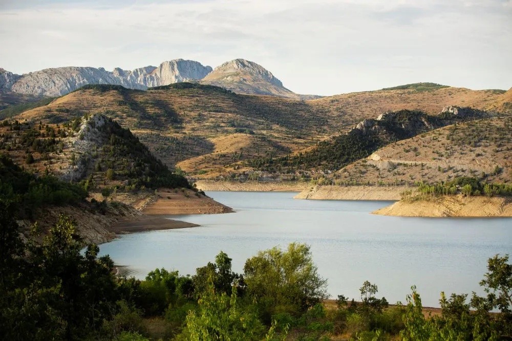 3575-escapada-perro-sierra-de-cazorla