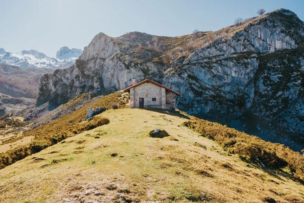 3576-escapada-perro-picos-europa
