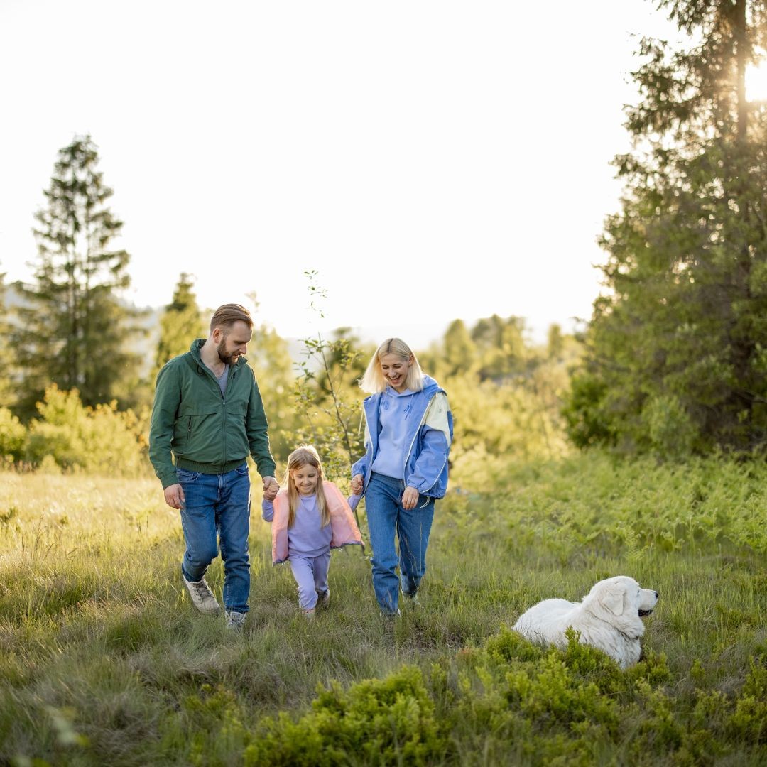 3597-escapada-pirineo-con-perro