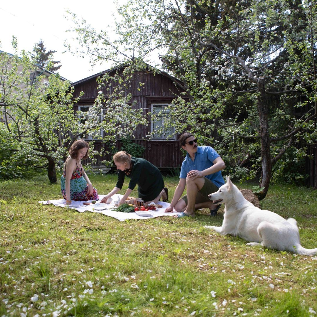 3605-escapada-la-rioja-con-perro