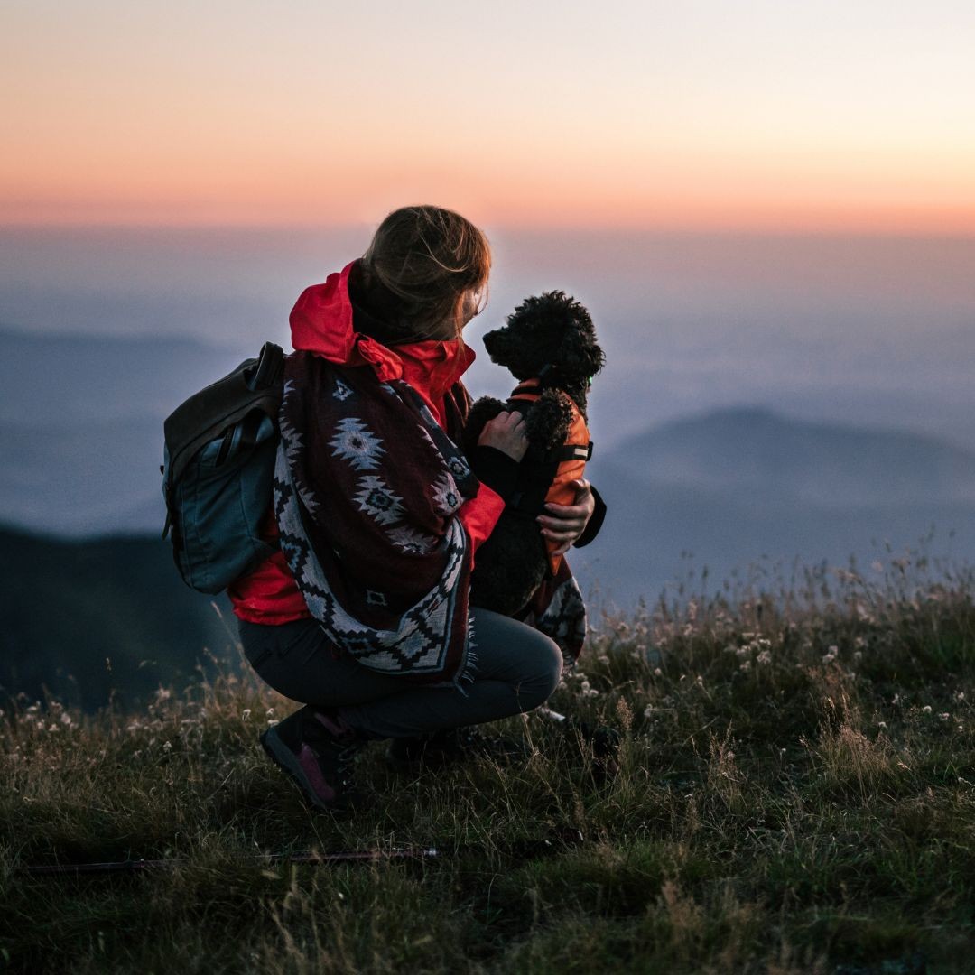 3621-escapada-perro-otono