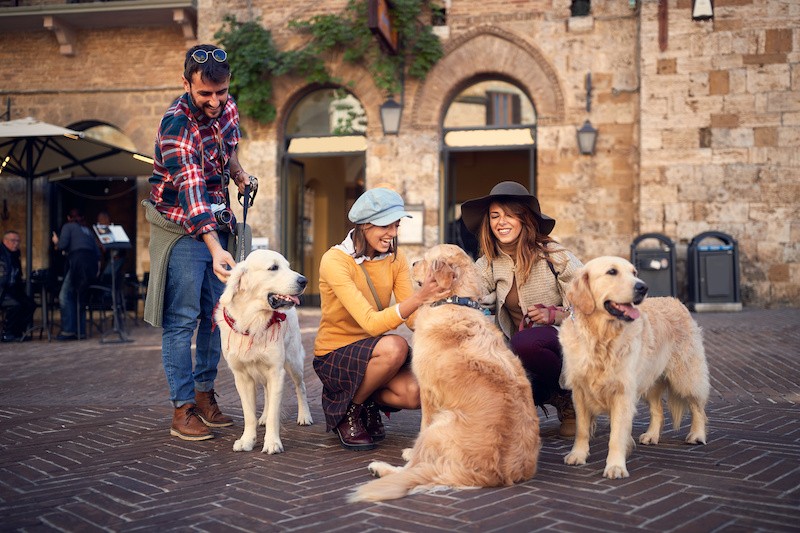 3659-gente-con-perros