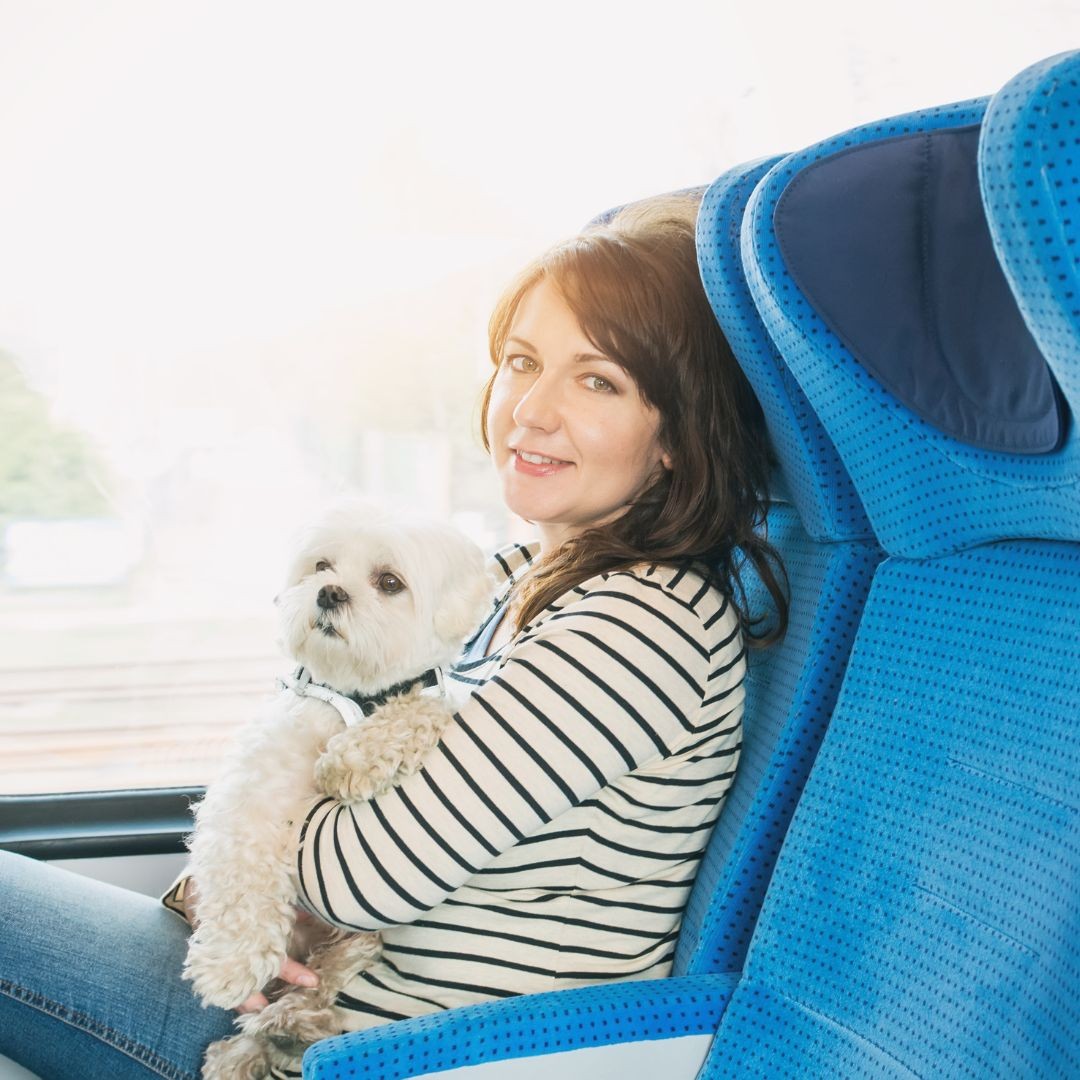 3726-perro-tren-ouigo