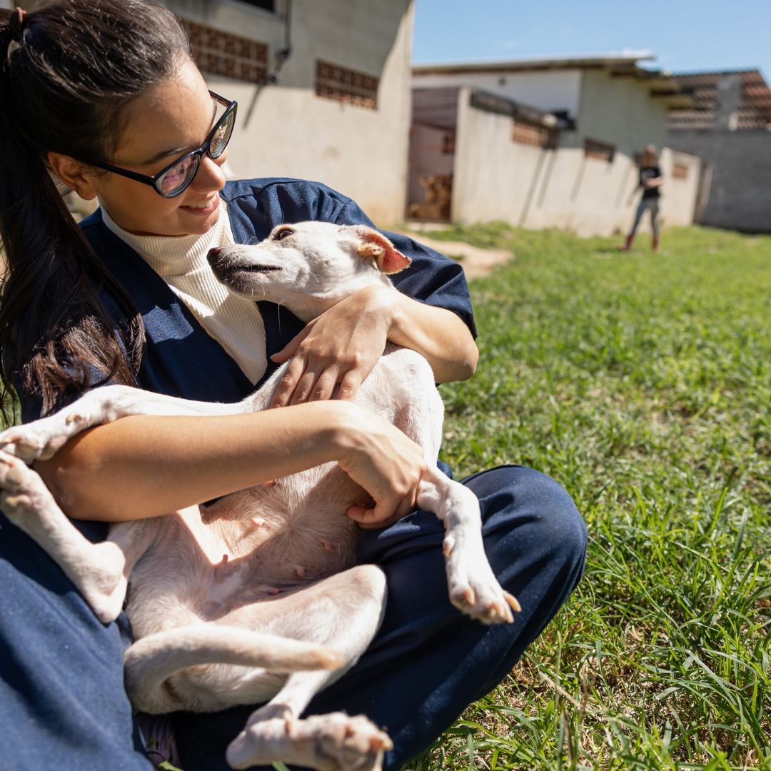 3740-ley-de-proteccion-animal-2024