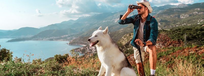 3867-camino-ronda-perro