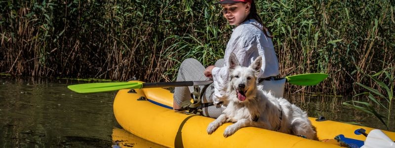3869-kayak-perro
