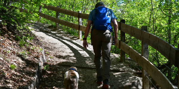 3892-ruta-cola-caballo-con-perro
