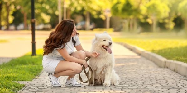 3931-puente-mayo-con-perro