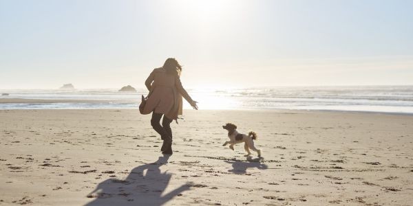 3933-puente-mayo-con-perro