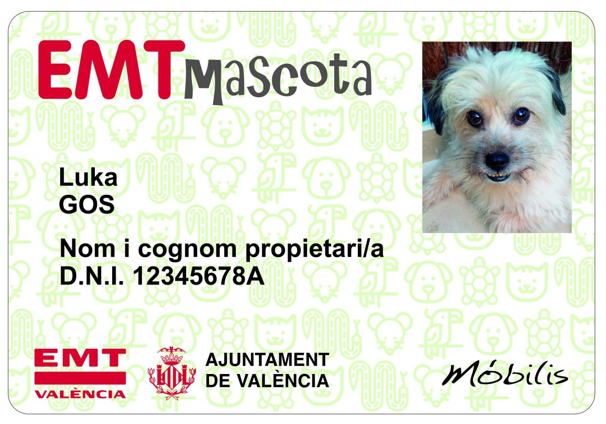3986-emt-mascota-valencia