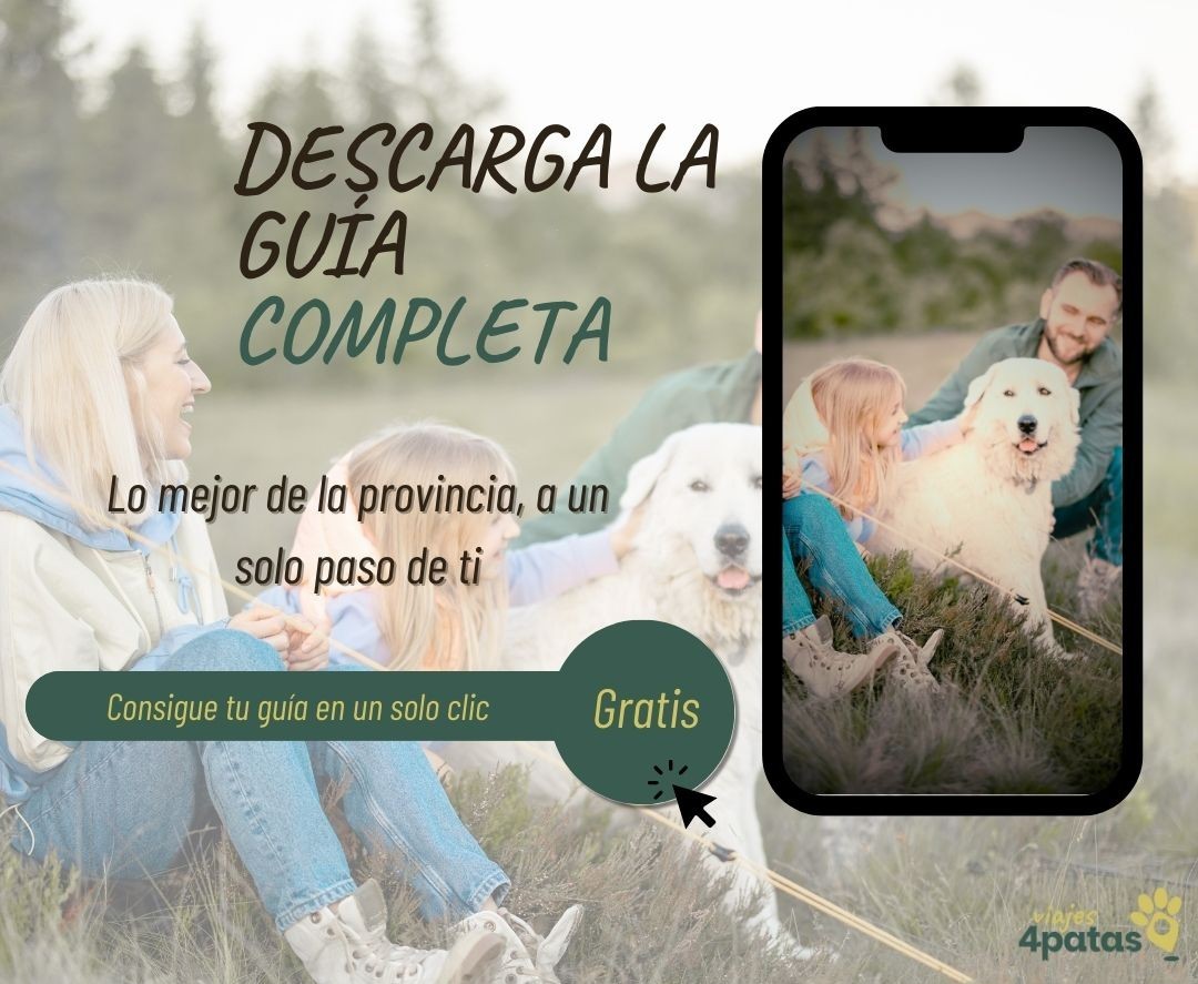 4027-perro-en-asturias