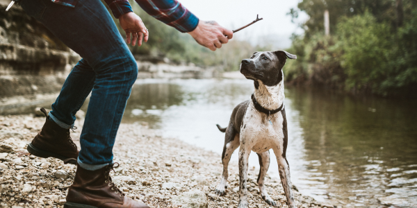4080-rutas-senderismo-segovia