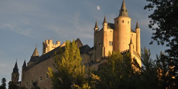 4083-alcazar-segovia-perro