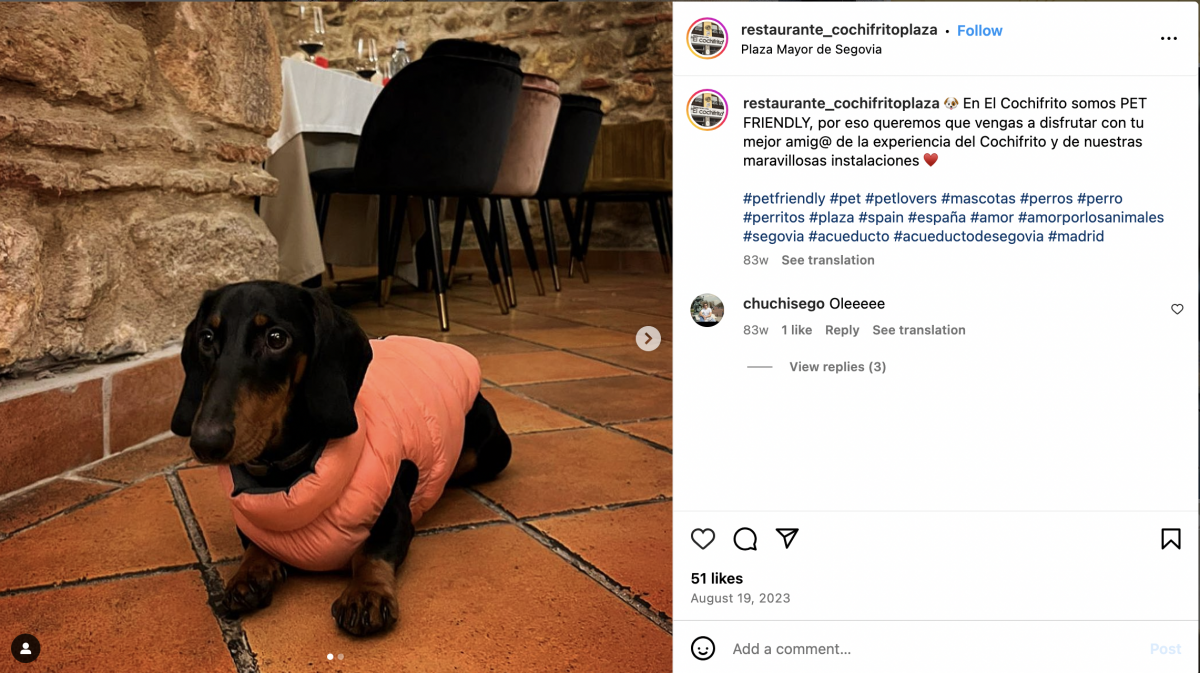 4086-cochifrito-admite-perros