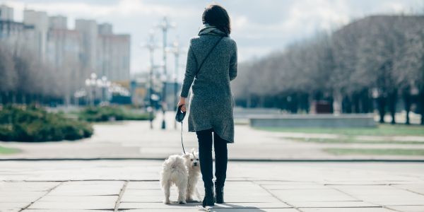 4096-gijon-con-perro