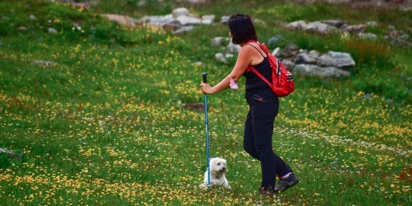 4101-sierra-cazorla-perro