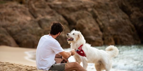 4105-playas-caninas-huelva-2025