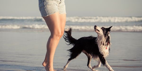 4106-playas-para-perros-huelva