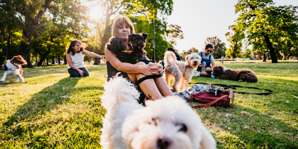 4109-parques-perros-gijon