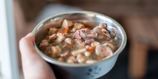 4152-alimentos-en-lata-para-combatir-el-calor-en-perros