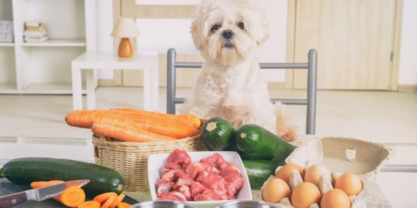 4282-cachorros-comida-barf-casera