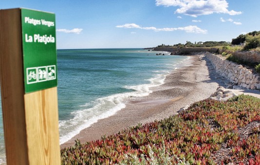 431-la-platjola-la-playa-para-perros-en-alcanar-tarragona