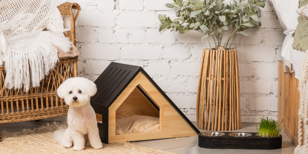 4349-casita-para-perros-pequenos