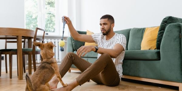 4427-pelota-kong-perro-casa