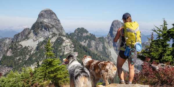4531-rutas-para-perros-en-cataluna