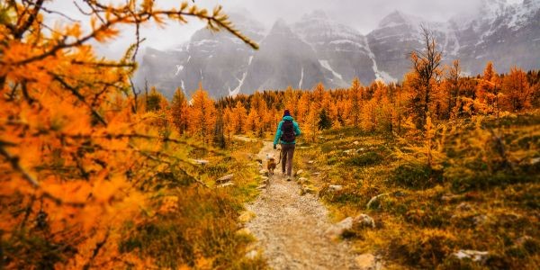 4609-euskadi-con-perro