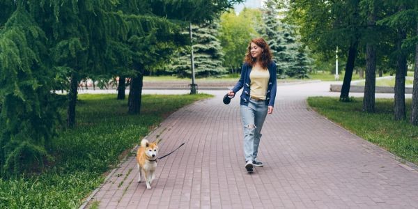 4611-bilbao-con-perro