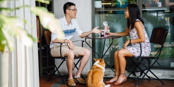 4615-restaurantes-con-perro-pais-vasco