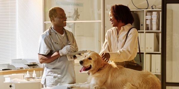 4641-revision-veterinario-para-viajar